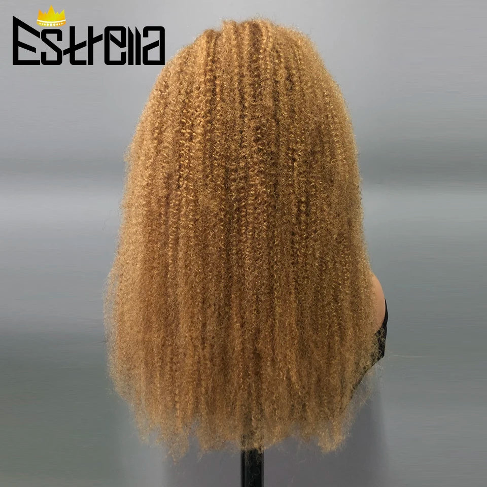 Afro Kinky Curly Human Hair Lace Frontal Wig 180% Density Brazilian 13x4 Curly Lace Front Human Hair Wigs For Women Pre Plucked